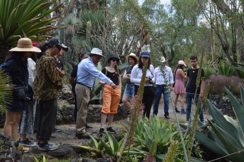 Día 2 mayo 2023, en Jardín Botánico del IB-UNAM taller con Aniara Rodado